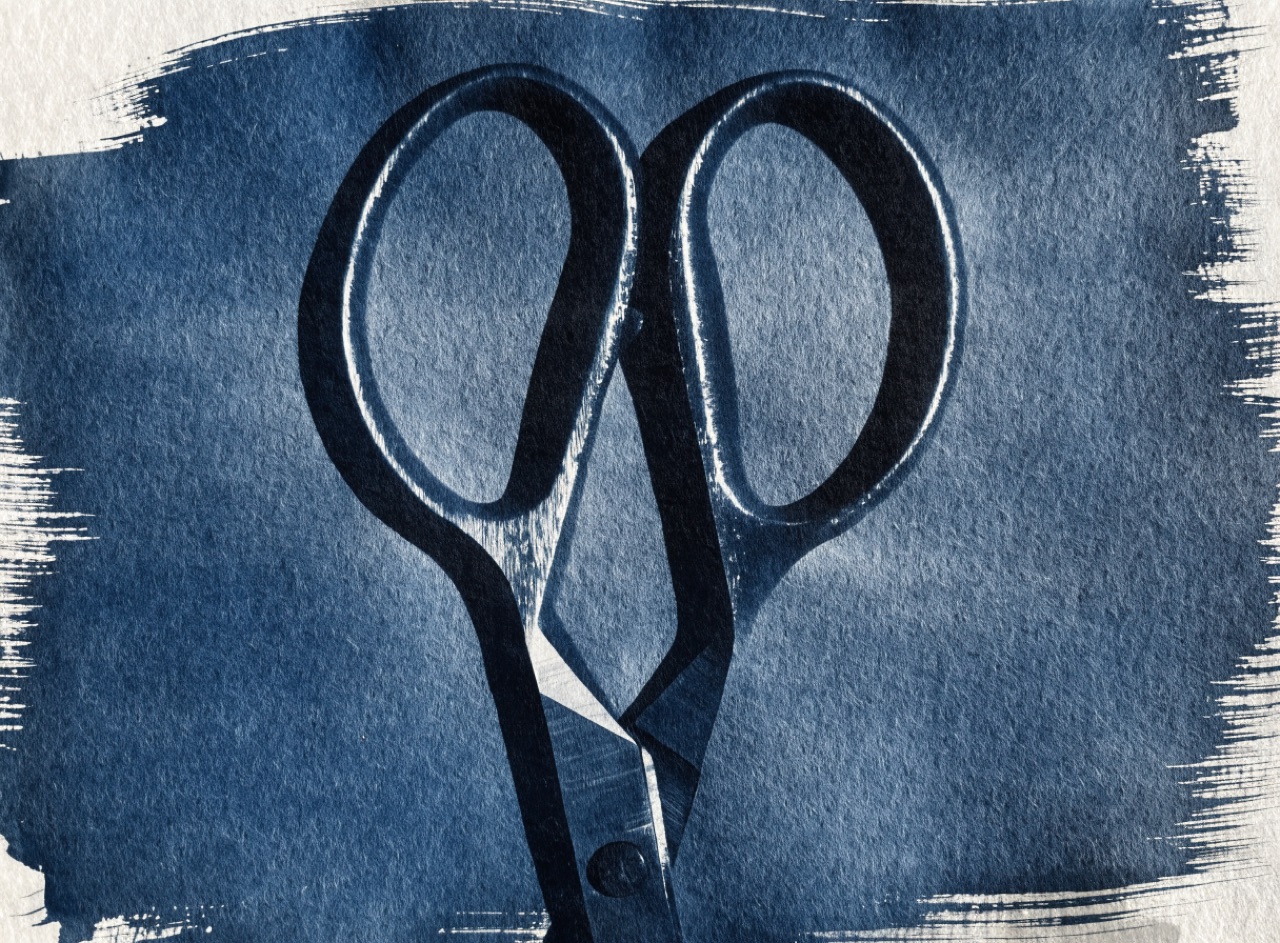 Cyanotype / Blueprint example frame